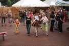 IMG_3264.jpg
