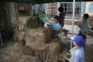 IMG_3320.jpg