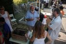IMG_3583.jpg