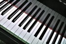 DSC-9538-1-.jpg