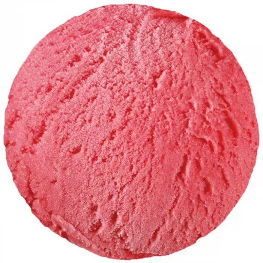 Sorbet framboise 4,75L
