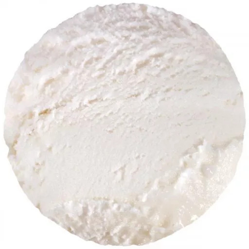 Sorbet citron 4,75L
