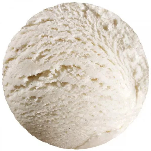 Crème glacée vanille 4,75L