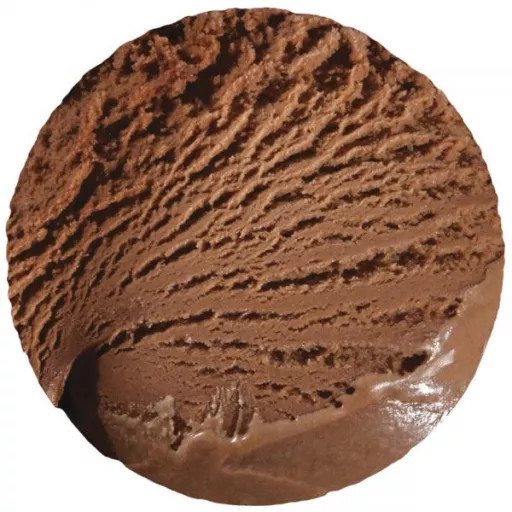 Crème glacée chocolat 4,75L