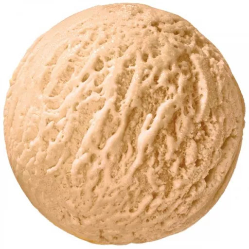 Crème glacée noisette 4,75L
