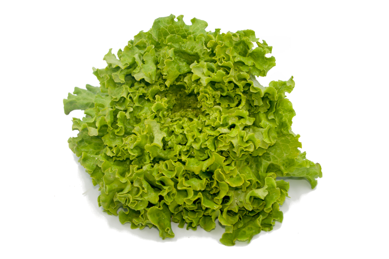 Salade Als FR (pièce)