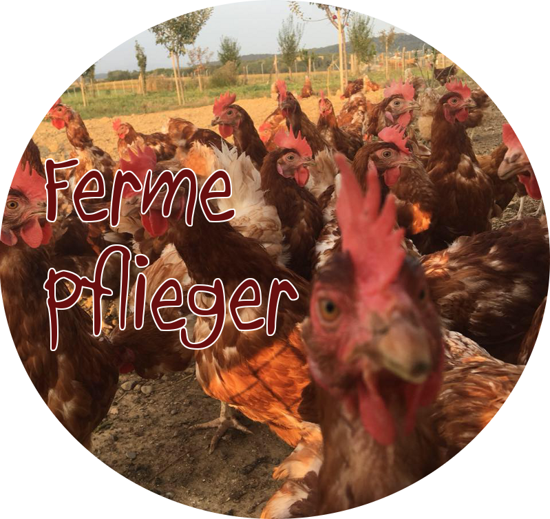 Ferme Pflieger